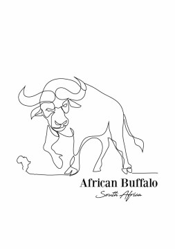 contour buffalo silkscreen